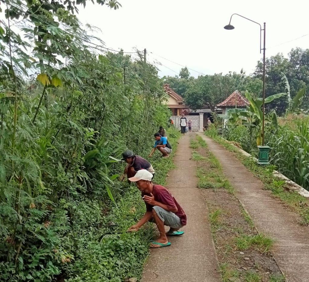 This is not fogging, this is what Ponorogo residents do to prevent dengue fever