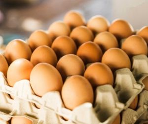 Produksi Capai 45 ton per Hari , Telur BPNT Ponorogo Ambil dari Luar Daerah?