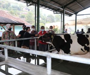 Kelompok Tani Margomulyo Dusun Brau, Dapat Bantuan dari Pemkot Batu