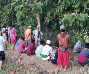 Anggota DPRD Bojonegoro, Ditemukan Tewas Gantung Diri di Pinggir Bengawan