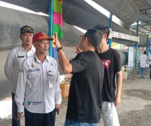 Tingkatkan PAD Kabupaten Kotabaru, Bapenda Gandeng Tiga Perusahaan di Kotabaru
