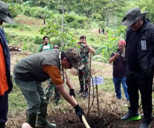 UIN Maulana Malik Ibrahim Malang Tanam 1000 Bibit Pohon Unggul