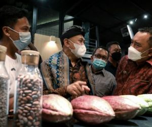 Bali Didorong Maksimalkan Kakao sebagai Komoditas Unggulan