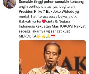 Ruhut Belum juga Dapat Jabatan dari Presiden Jokowi