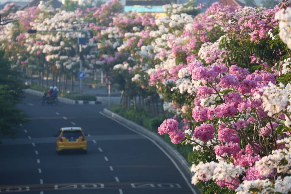 Di Surabaya, serasa seperti di Jepang.